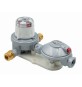 KIT INVERSORE AUTOMATICO GPL DOPPIO STADIO 5 KG/H 5 kg/h