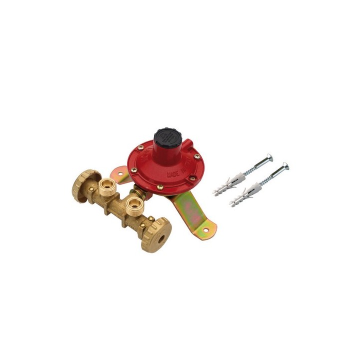 MINICENTRALINA PER 2 BOMBOLE Mod. LPZ 4 4 kg/h