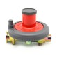 REGOLATORE GAS GPL MODELLO BP 2205G Kg./h 10