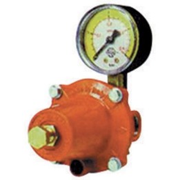 REGOLATORE GAS GPL DI ALTA PRESSIONE CON MANOMETRO MOD. APZ250 kg. / h 30