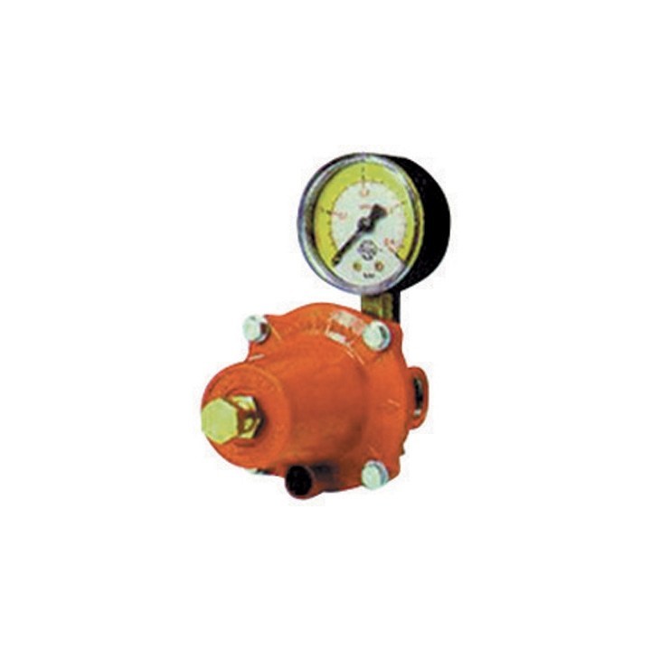 REGOLATORE GAS GPL DI ALTA PRESSIONE CON MANOMETRO MOD. APZ250 kg. / h 30
