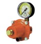 REGOLATORE GAS GPL DI ALTA PRESSIONE CON MANOMETRO MOD. APZ250 kg. / h 30