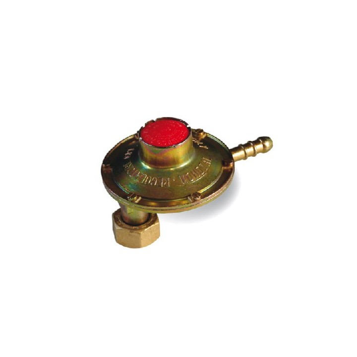 REGOLATORE GAS BASSA PRESSIONE CON ATTACCO VERTICALE 1 kg/h