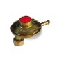 REGOLATORE GAS BASSA PRESSIONE CON ATTACCO VERTICALE 1 kg/h