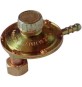 REGOLATORE GAS CON TARTAURA REGOLABILE ATTACCO VERTICALE 1 kg/h