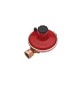REGOLATORE GAS BASSA PRESSIONE 10 KG/H 1/2 10 kg/h