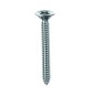 SC VITE AUTOFILETTANTE TSP 4,2X22MM ZINCATA 30PZ