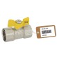 VALVOLA A SFERA GAS FF CON FARFALLA MOD. DAKOTA F-BRICO 3/4" DN 15