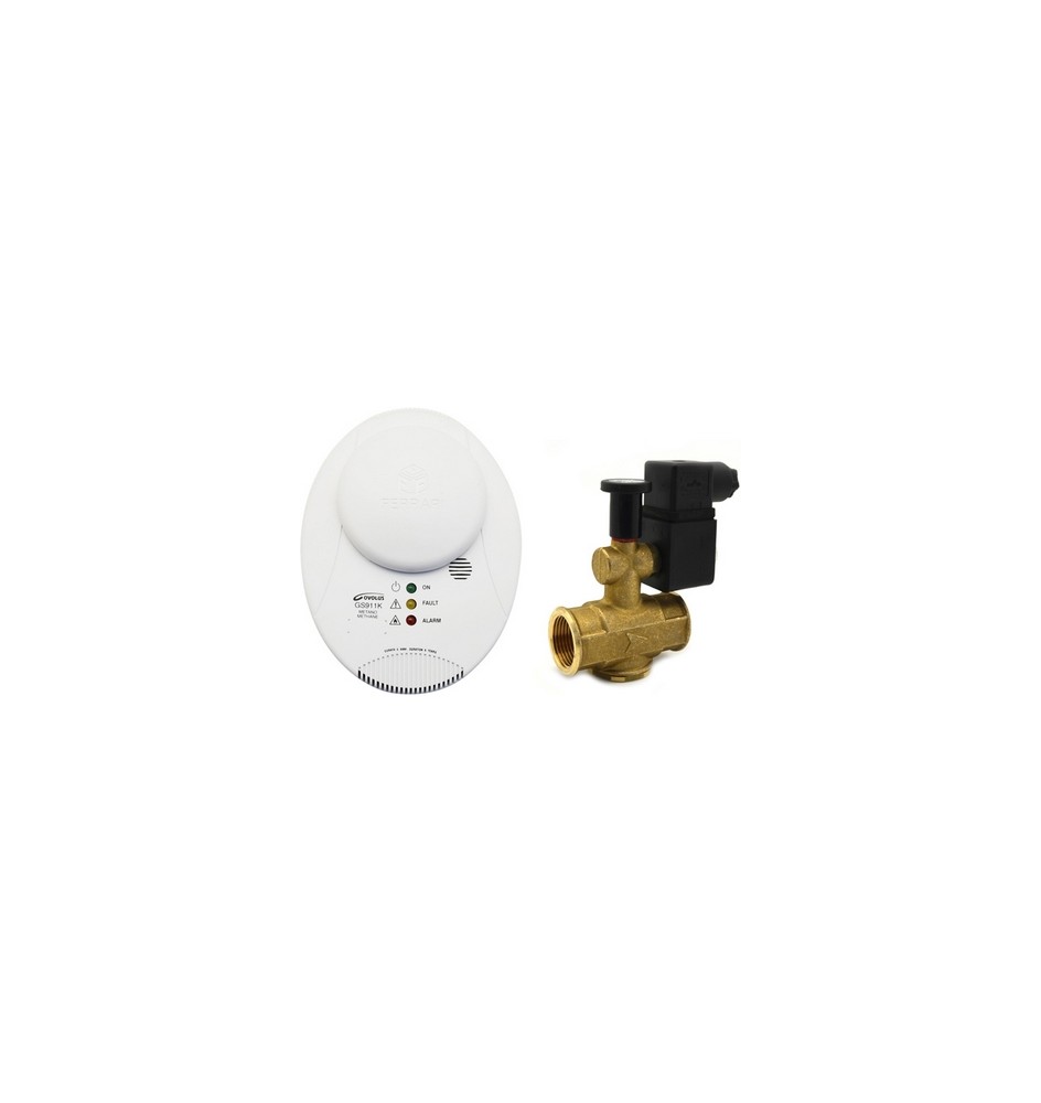 KIT RILEVATORE METANO MOD. 040190 + EV NA 3/4" MOD. 042301 -