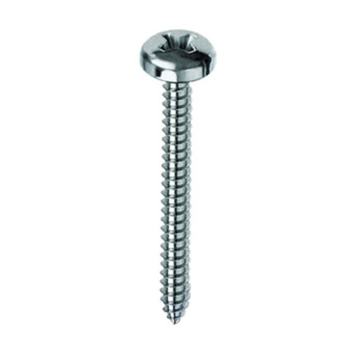 SC VITE AUTOFILETTANTE TC 4,2X22MM ZINCATA 30 PZ