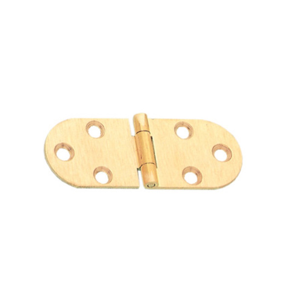 CERNIERA A BISCOTTO S/FERMO OTTONE SAT 80X30 MM**