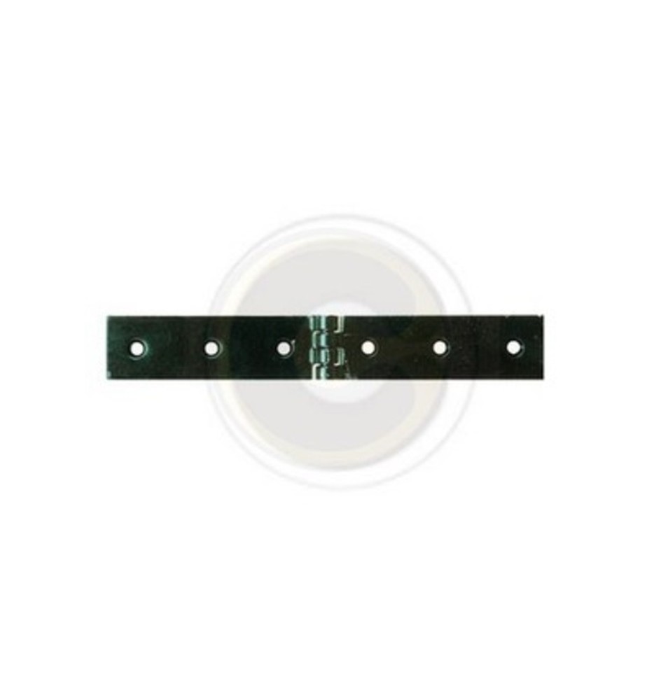 CERNIERA A LIBRETTO ACCIAIO P/CASSE 160 X 30 MM**
