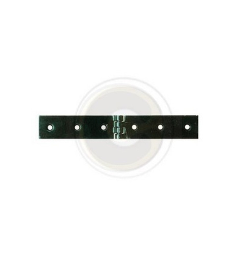CERNIERA A LIBRETTO ACCIAIO P/CASSE 200 X 30 MM**