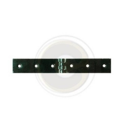 CERNIERA A LIBRETTO ACCIAIO P/CASSE 200 X 30 MM**