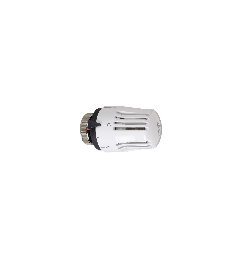 TESTA TERMOSTATICA CON SENSORE LIQUIDO M 30 x 1,5