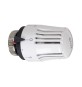 TESTA TERMOSTATICA CON SENSORE LIQUIDO M 30 x 1,5