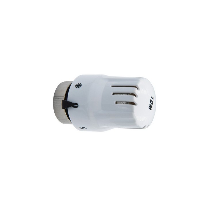 TESTA TERMOSTATICA CON SENSORE A LIQUIDO ECO M30 x 1,5