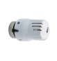 TESTA TERMOSTATICA CON SENSORE A LIQUIDO ECO M30 x 1,5