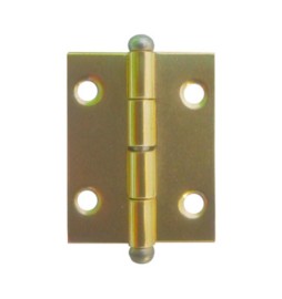 CERNIERA PERNO SFILABILE ACCIAIO OTT 20 X 30 MM**
