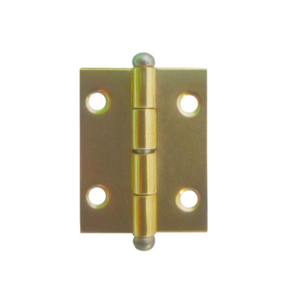 CERNIERA PERNO SFILABILE ACCIAIO OTT 20 X 30 MM**