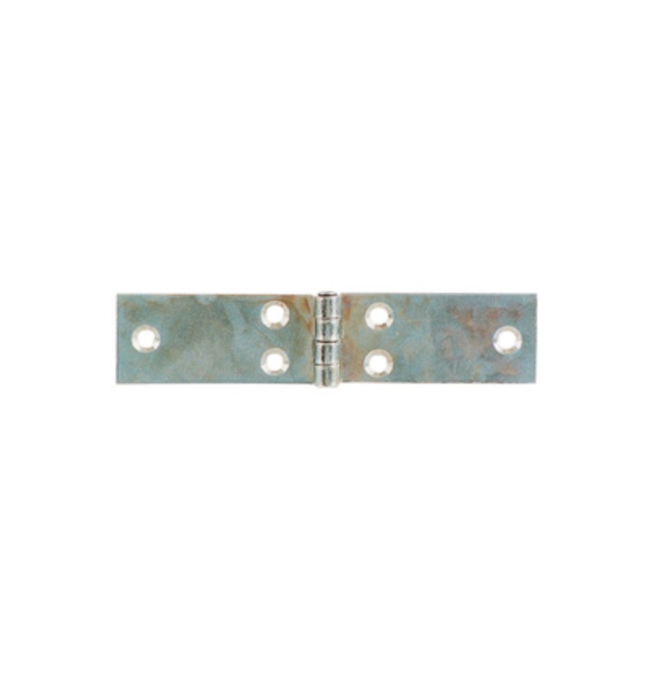 CERNIERA PERNO FISSO LUNGA ACC ZINC 99 X 25 MM*