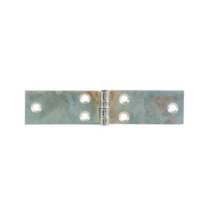 CERNIERA PERNO FISSO LUNGA ACC ZINC 119 X 28 MM