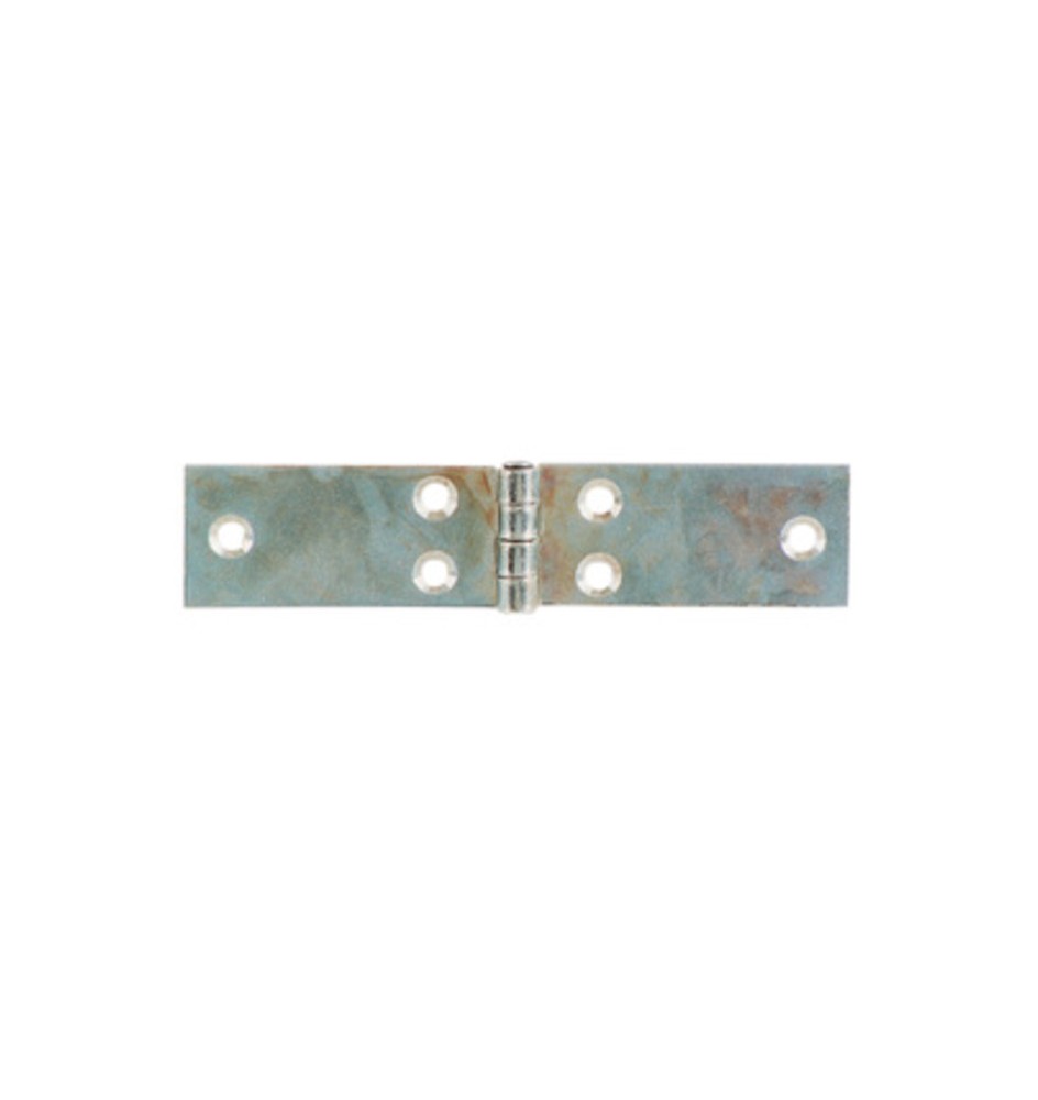 CERNIERA PERNO FISSO LUNGA ACC ZINC 200 X 34 MM