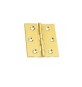 CERNIERA FRESATA PIANA OTTONE SATIN 70X55 MM