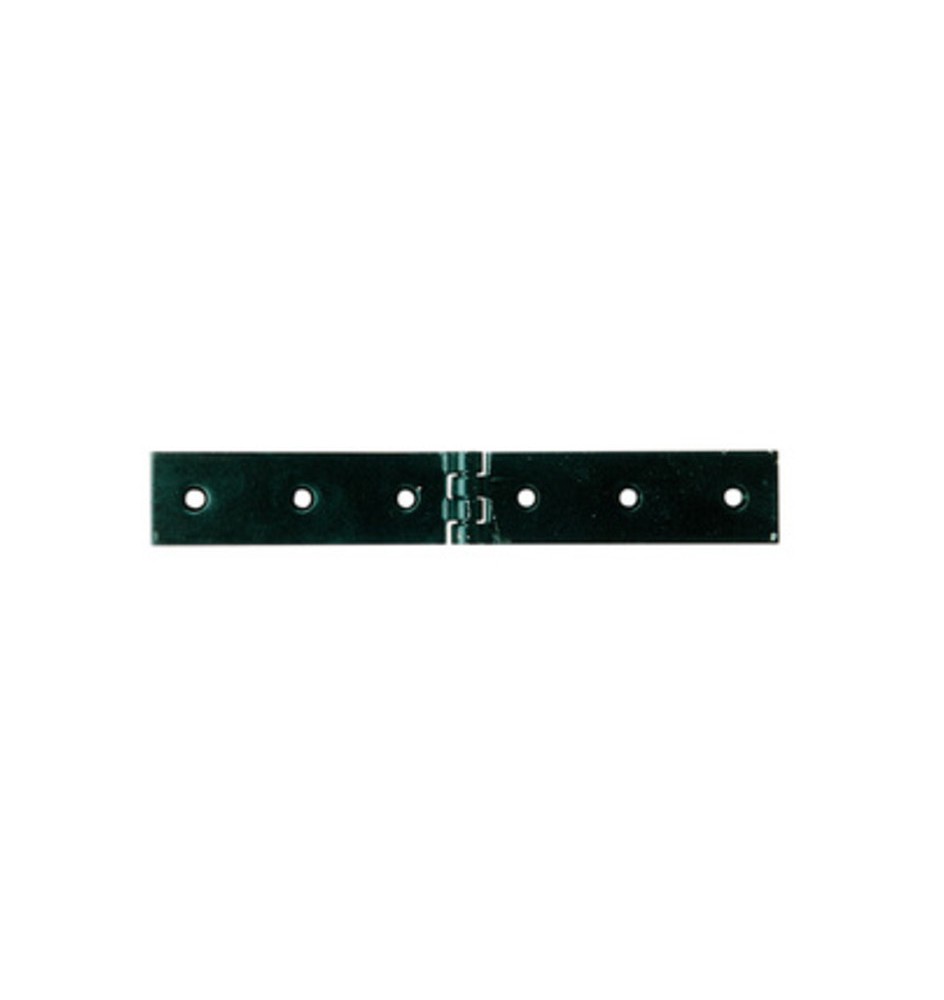 BL CERNIERA A LIBRETTO 160 X 30 MM DA 2 PZ