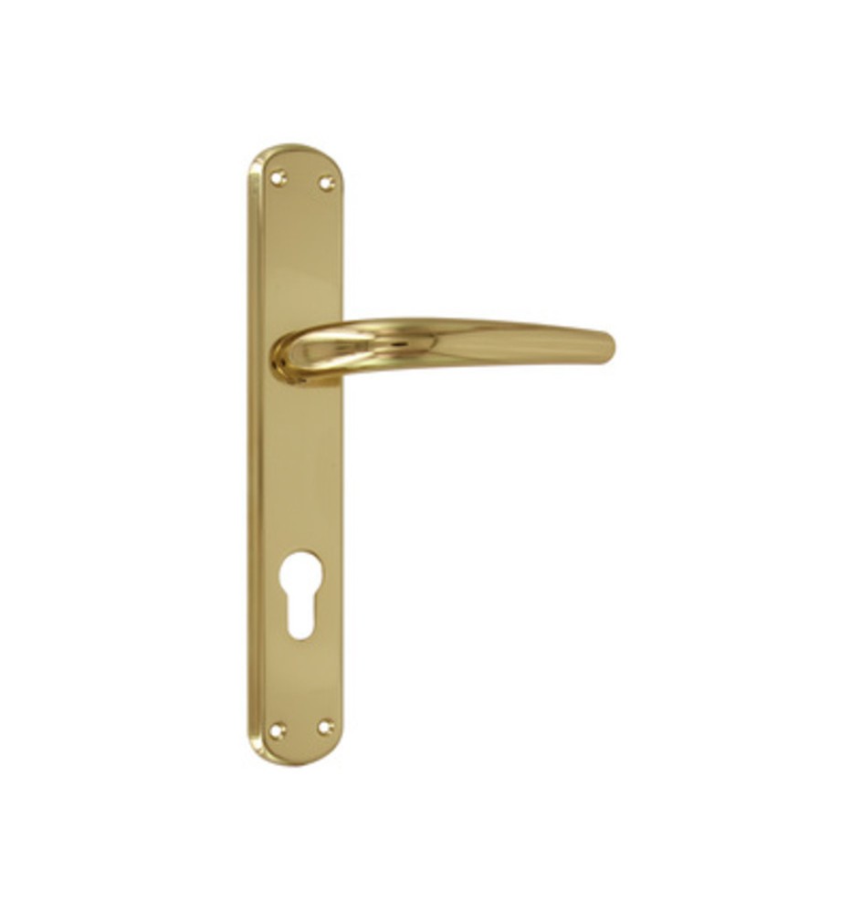 BL MANIGLIA TORINO F.Y. ORO LUCIDO V