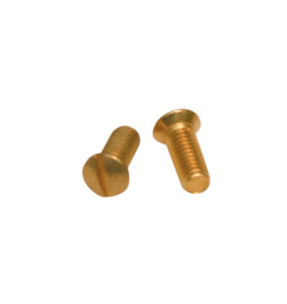 SC VITI OTTONE P/COPRINTERRUTTORE 10 PZ