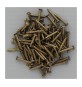 SC CHIODI TB 1,5X12 FERRO BRONZATO 100 PZ*