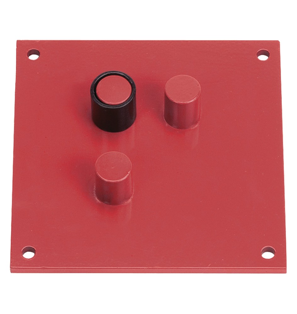 PIASTRA PIEGAFERRO cm 25 x 20 ø mm 22