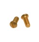 VITI OTTONE P/COPRINTERRUTTORE