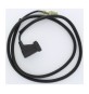 R TOS.DY214 FIG.131 CAVO