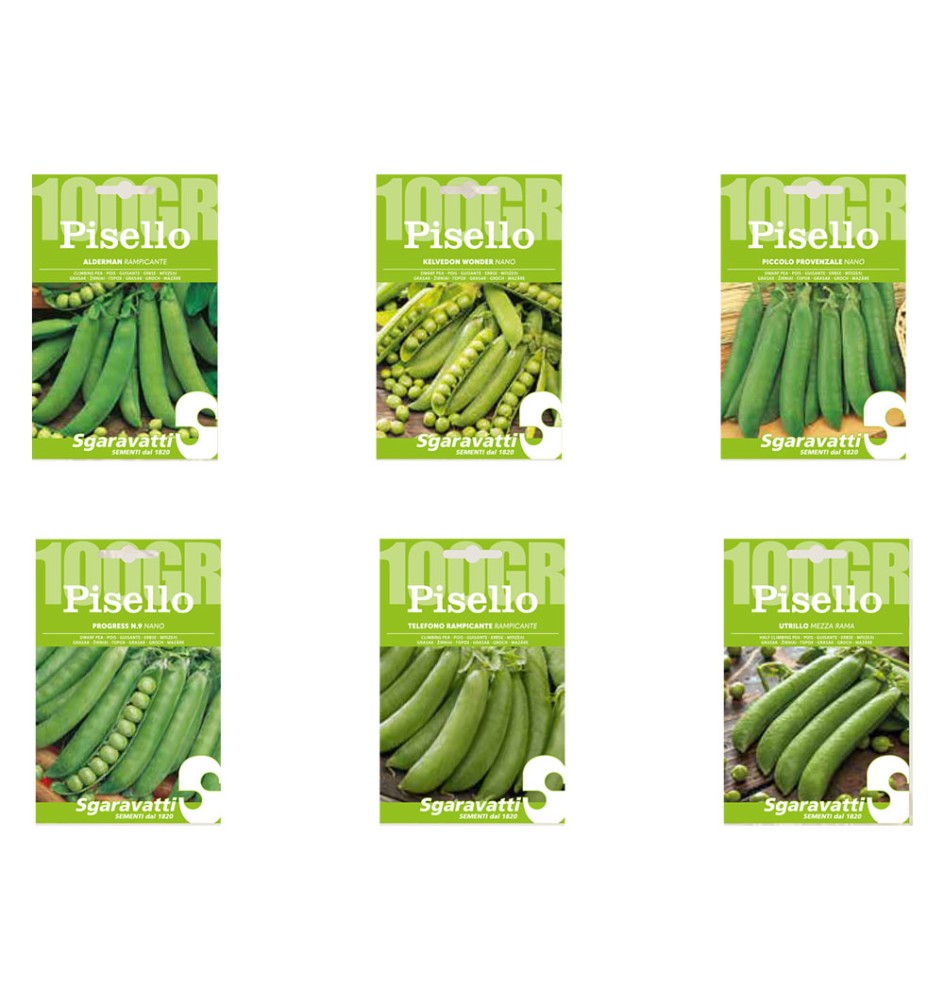 SEMI PER FAVE pisello progress (nano) n.9 - gr 100