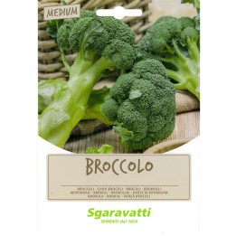 SEMI PER FAVE broccoletto sessantino riccio S. Marzano - gr 100
