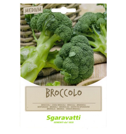 SEMI PER FAVE broccoletto sessantino leccese cima gross.- gr 100