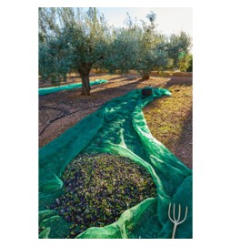 C RETE P/OLIVE ANTISPINA 80G 4X 8M
