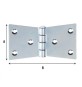 BL CERNIERA CODA DI RONDINE 4 FORI 110X55 MM 2 PZ