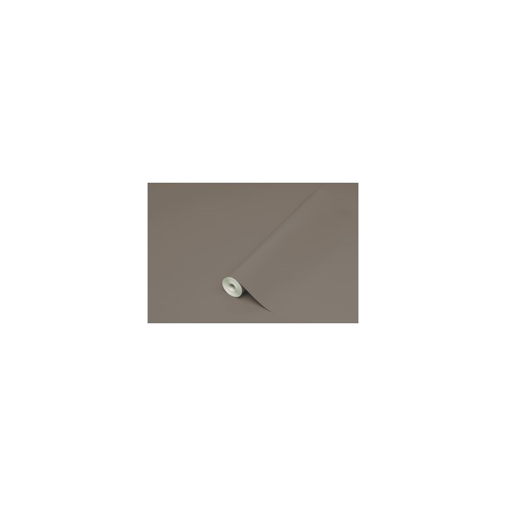 PLASTICA ADESIVA HOMEDECO 288.3236 15 M TORT/LUC