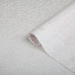PLASTICA ADESIVA HOMEDECO 288.0907 15 M TRASP/NUV
