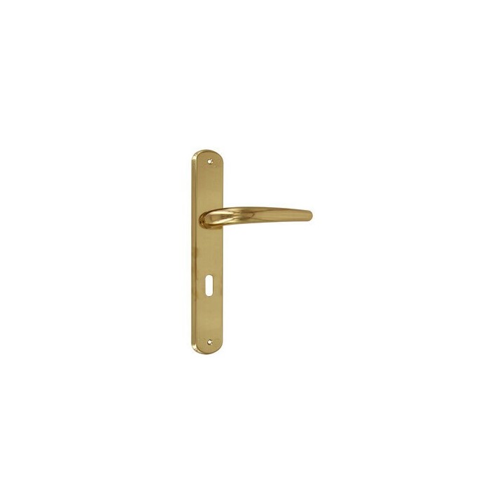 BL MANIGLIA TORINO F.Y. ORO LUCIDO V