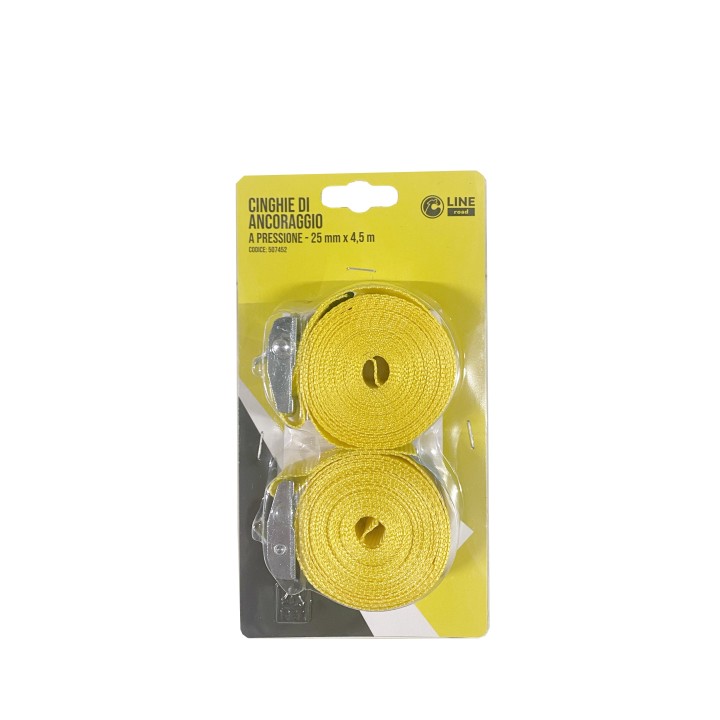 C SET 2/CINGHIE ANCORAGGIO PRESSIONE 25MM 4,5MT S