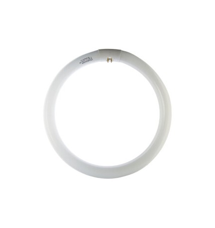 CIRCOLINA 22W G10Q 1200LM 6500K