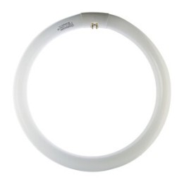CIRCOLINA 32W G10Q 2000LM 6500K