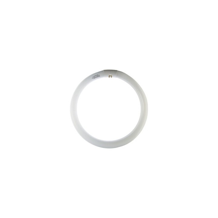 CIRCOLINA 40W G10Q 3200LM 4200K