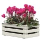 CASSETTA PORTAFIORI 'TINA FLOWER' cm 25 x 15,5 x h.10,5