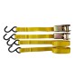 NASTRO DI ANCORAGGIO AD UNCINO mt. 4,5 x mm 25 - port.350 kg - pz.2 / con cricchetto