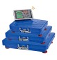 BILANCIA DIGITALE WIRELESS A PIATTAFORMA portata massima 300 kg